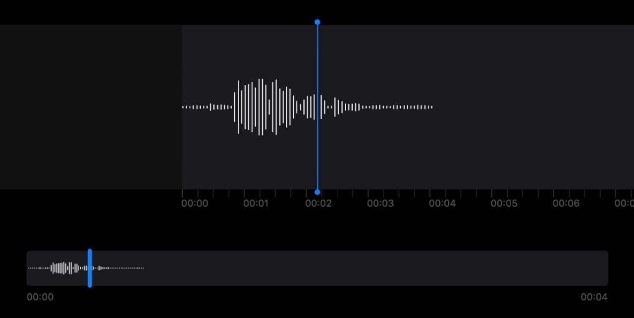 Come creare e utilizzare i Memo vocali su Apple Watch - TuttoTutorial.com