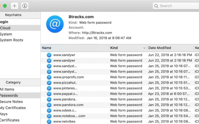 Come importare ed esportare le password di iCloud Keychain
