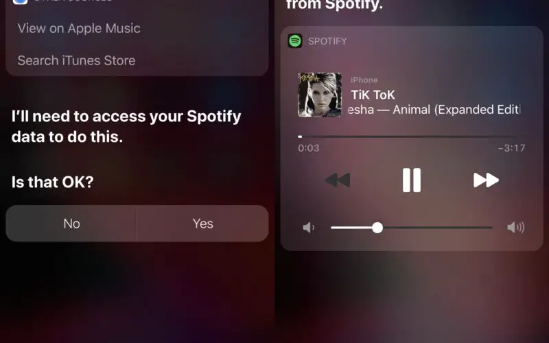 Spori semplifica l'uso di Siri per dettare la riproduzione musicale in Spotify