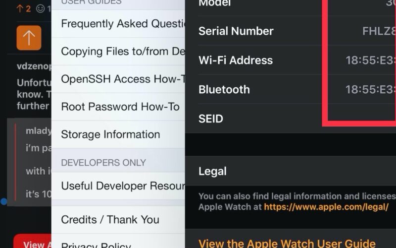 Legizmo consente ai jailbreaker di iOS 13 di installare watchOS 7 sul proprio Apple Watch