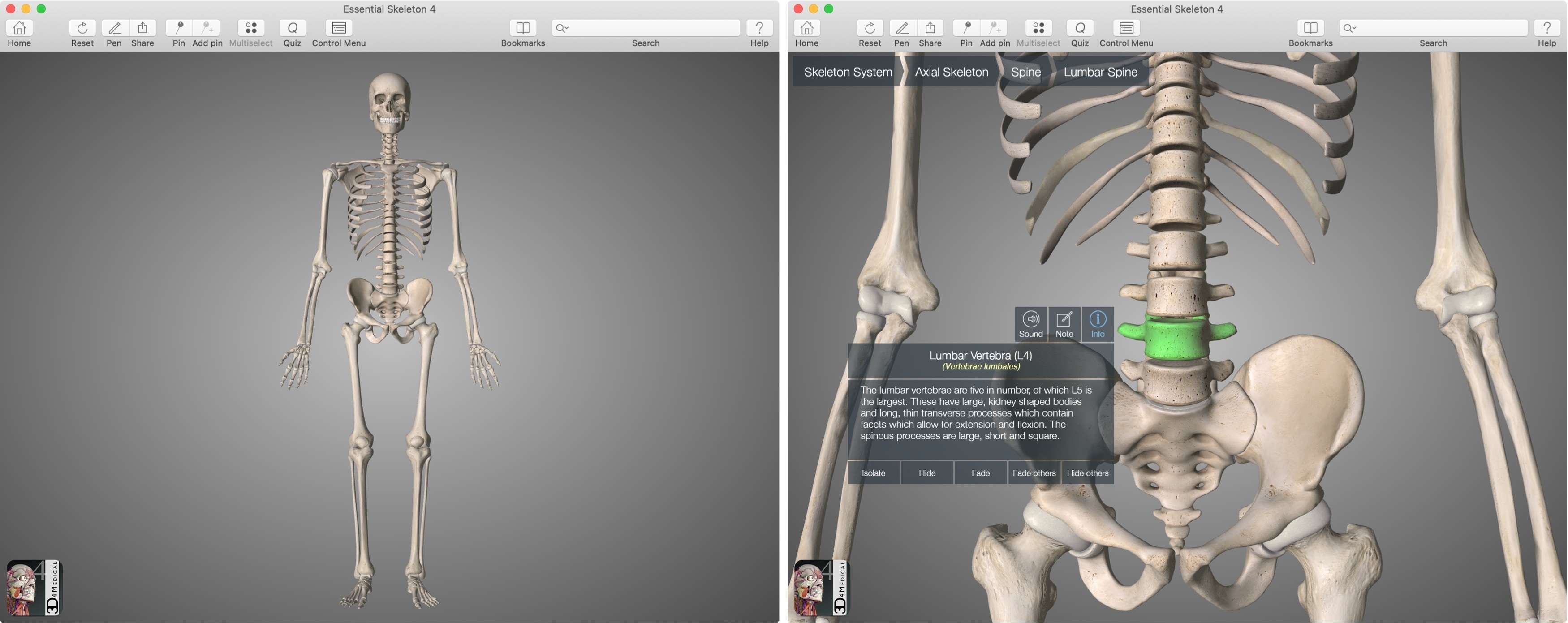 App Essential Skeleton 4 per Mac