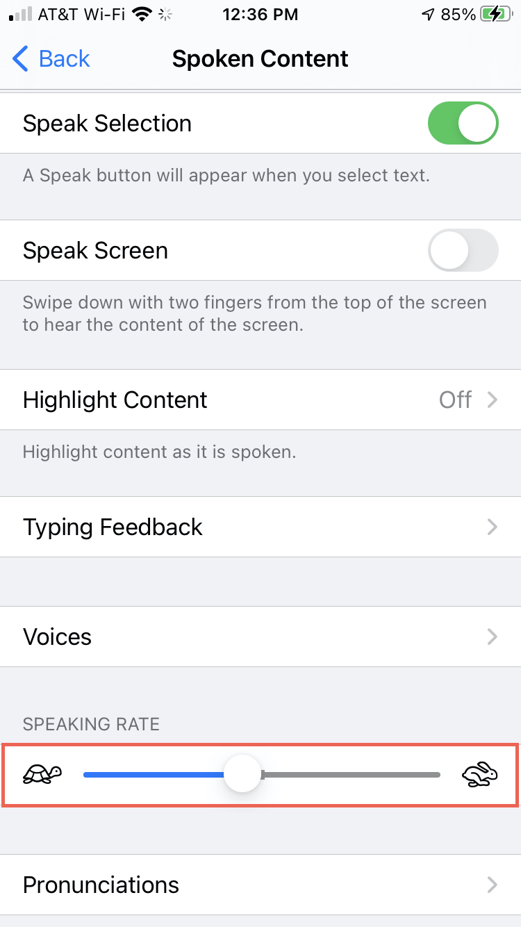 Accessibilità tasso di conversazione su iPhone