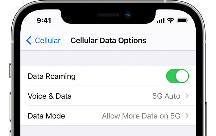 consenti più dati 5g iPhone - Opzioni dati cellulare 5G