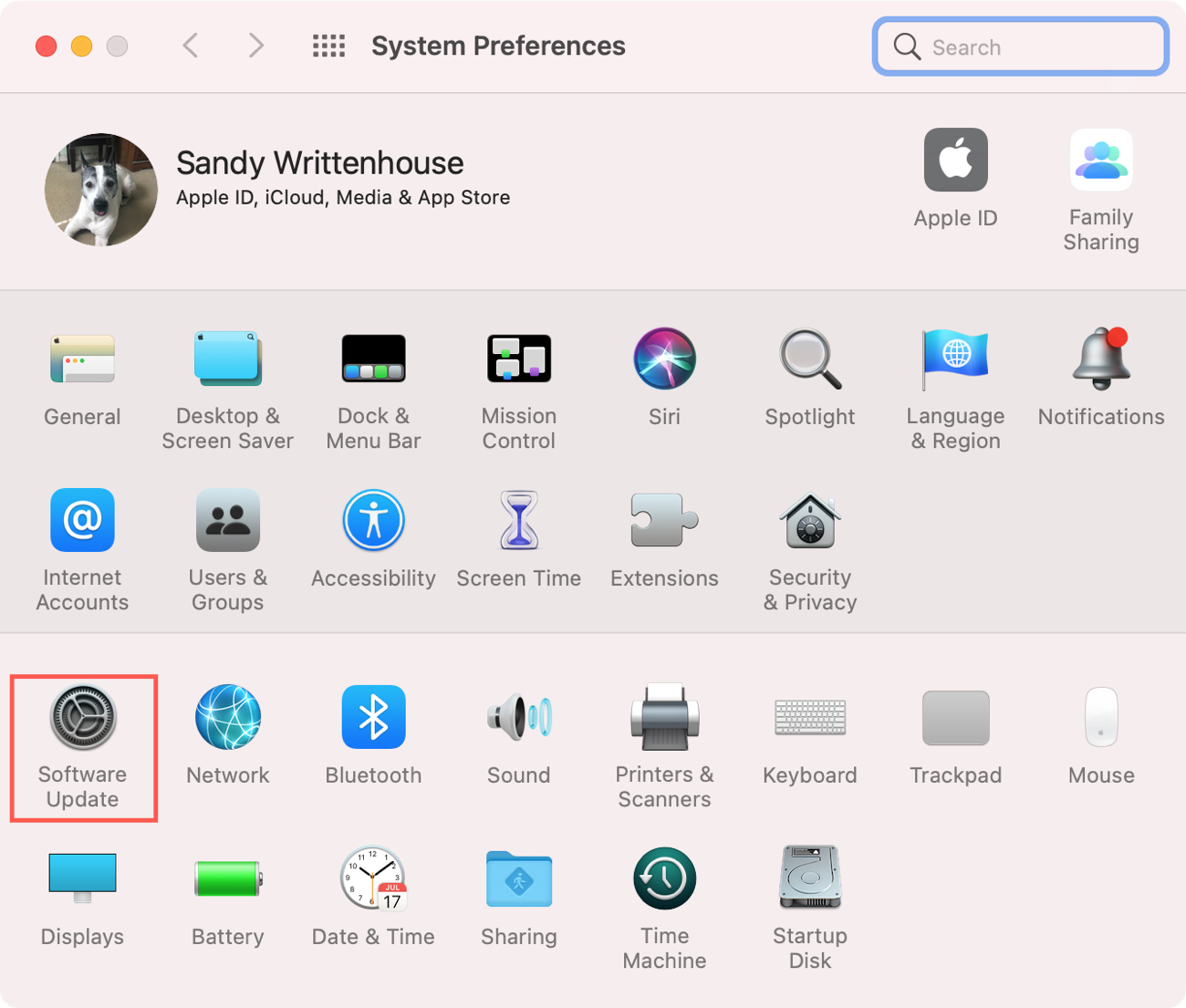 Aggiornamento del software delle preferenze di sistema su Mac Big Sur