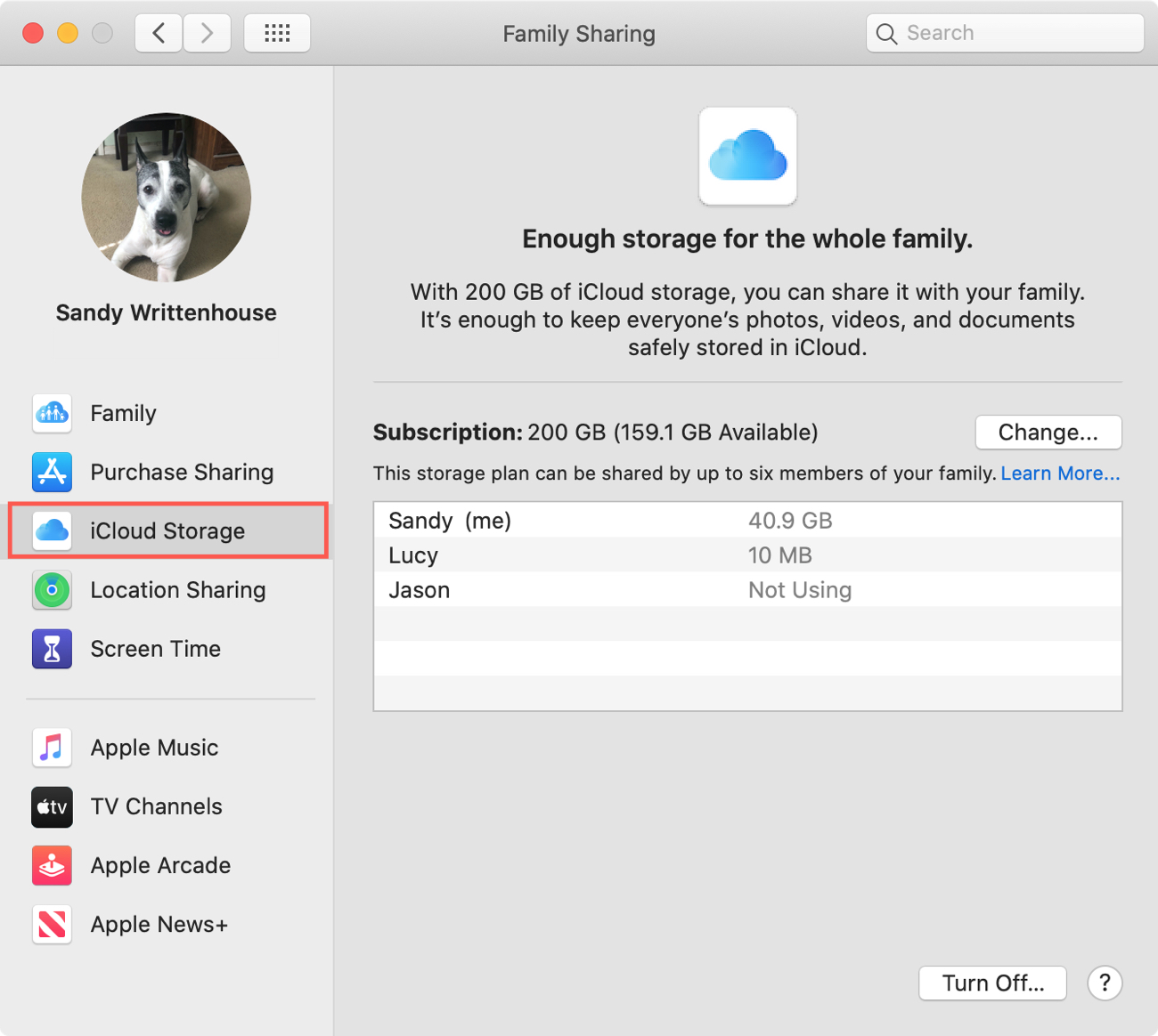 Utilizzo dello spazio di archiviazione di iCloud per la famiglia su Mac