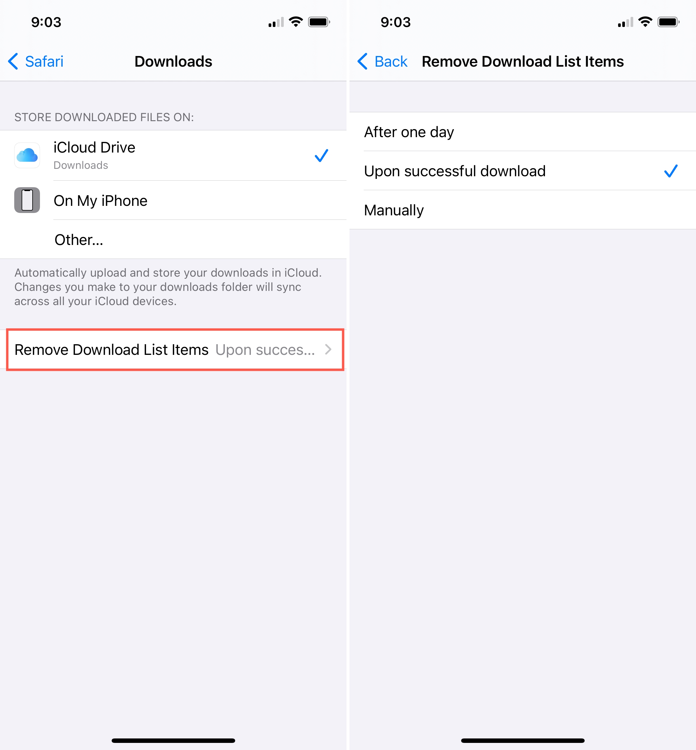 Impostazioni Safari Download Rimuovi tempi