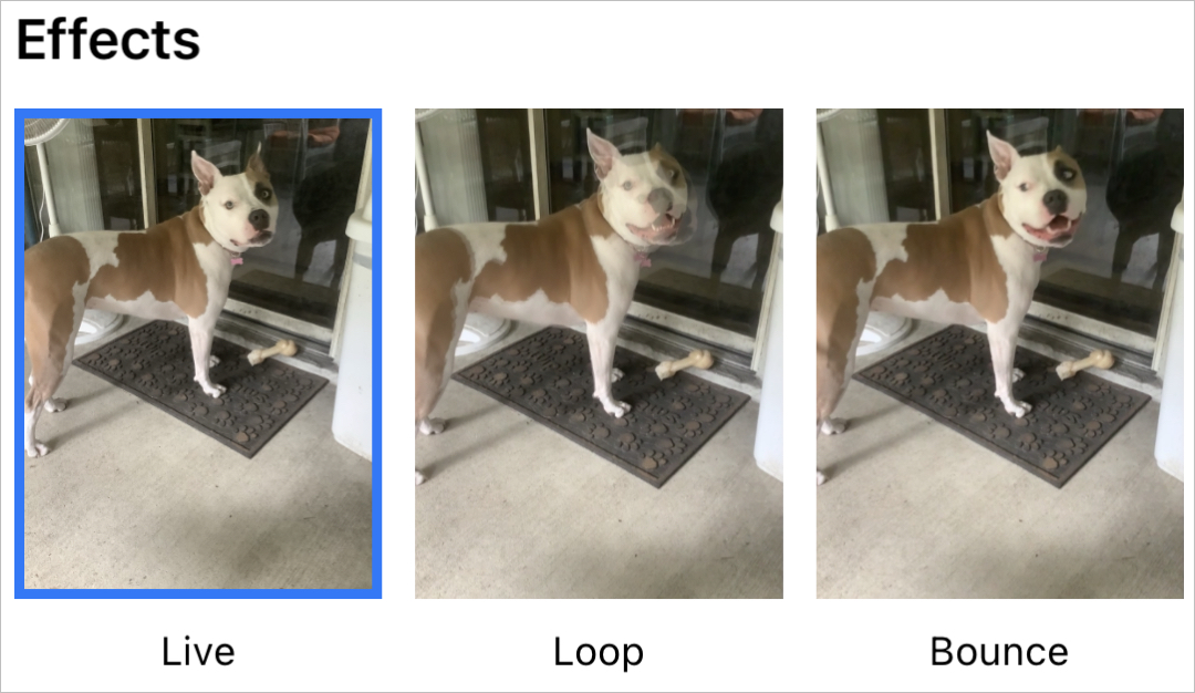 Cambia effetto per Live Photo su iPhone