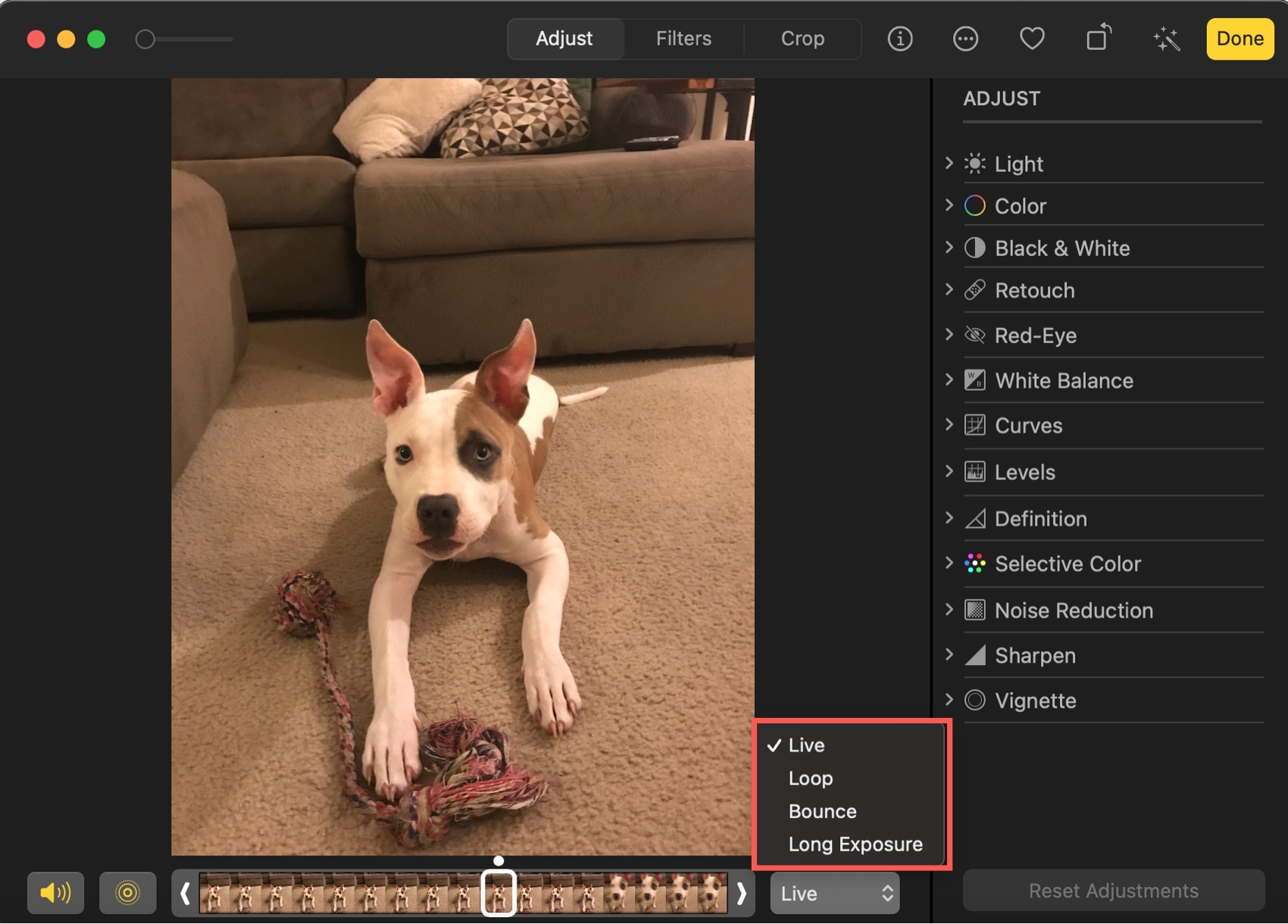 Aggiungi effetto a Live Photo su Mac