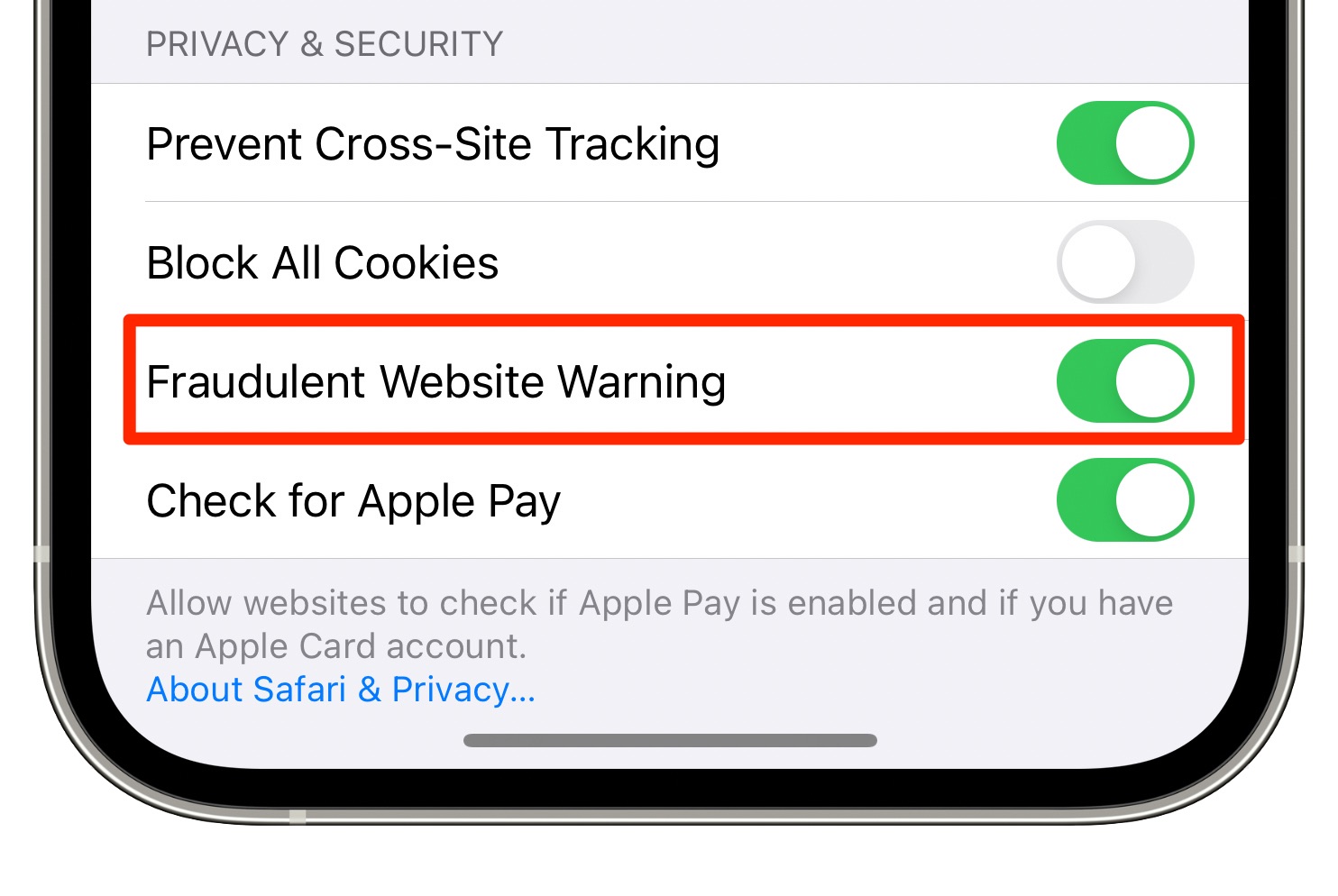 Uno screenshot dell'iPhone che mostra la sezione Sicurezza e privacy delle impostazioni di Safari con la funzione Avviso sito web fraudolento attivata