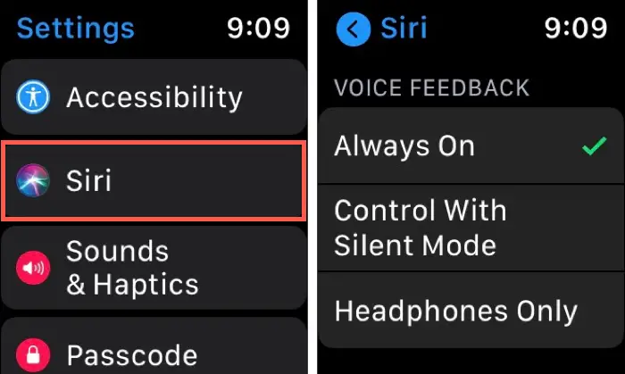 Feedback Siri su Apple Watch