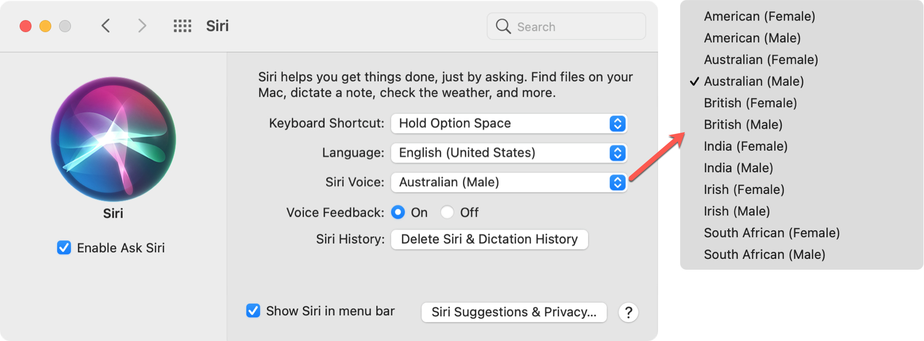 Cambia la voce di Siri su Mac