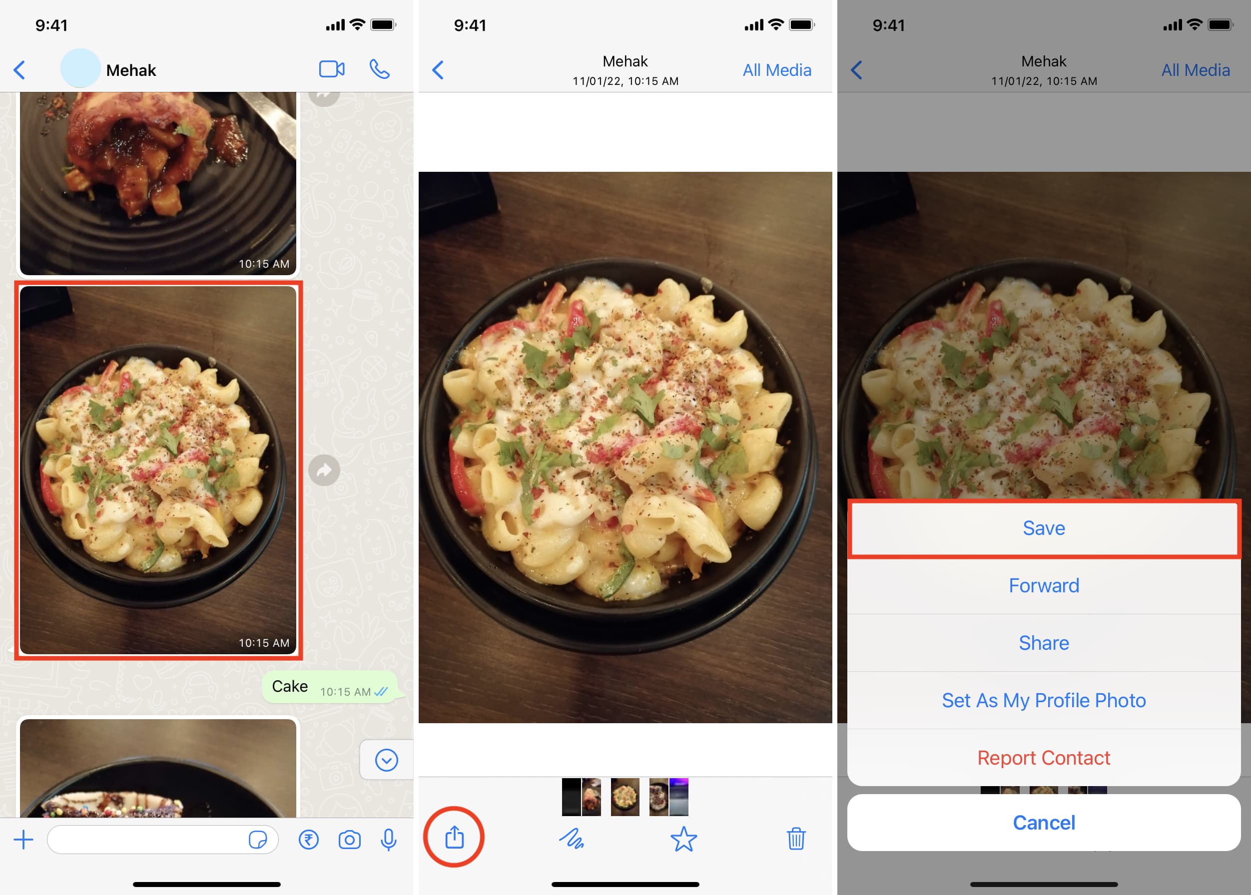 Salva manualmente l'immagine da WhatsApp nell'app Foto di iPhone