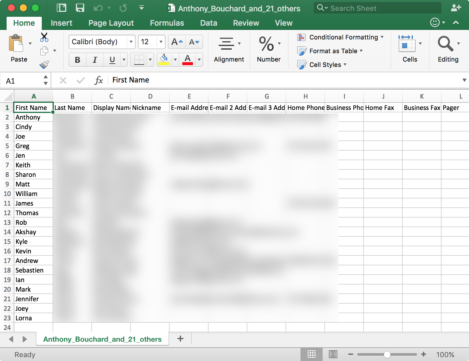 File CSV in Microsoft Excel