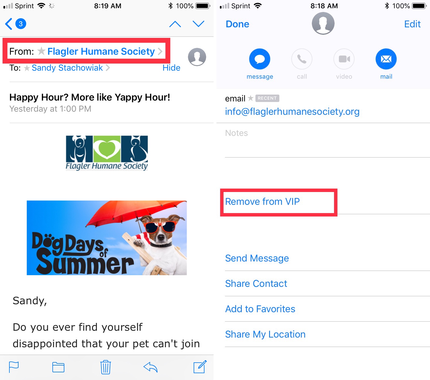 Rimuovi da Mail VIP iPhone