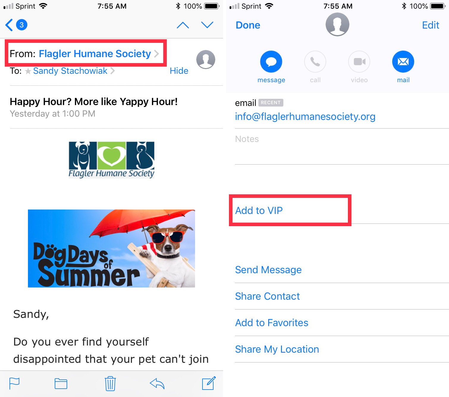 Aggiungi a Mail VIP iPhone