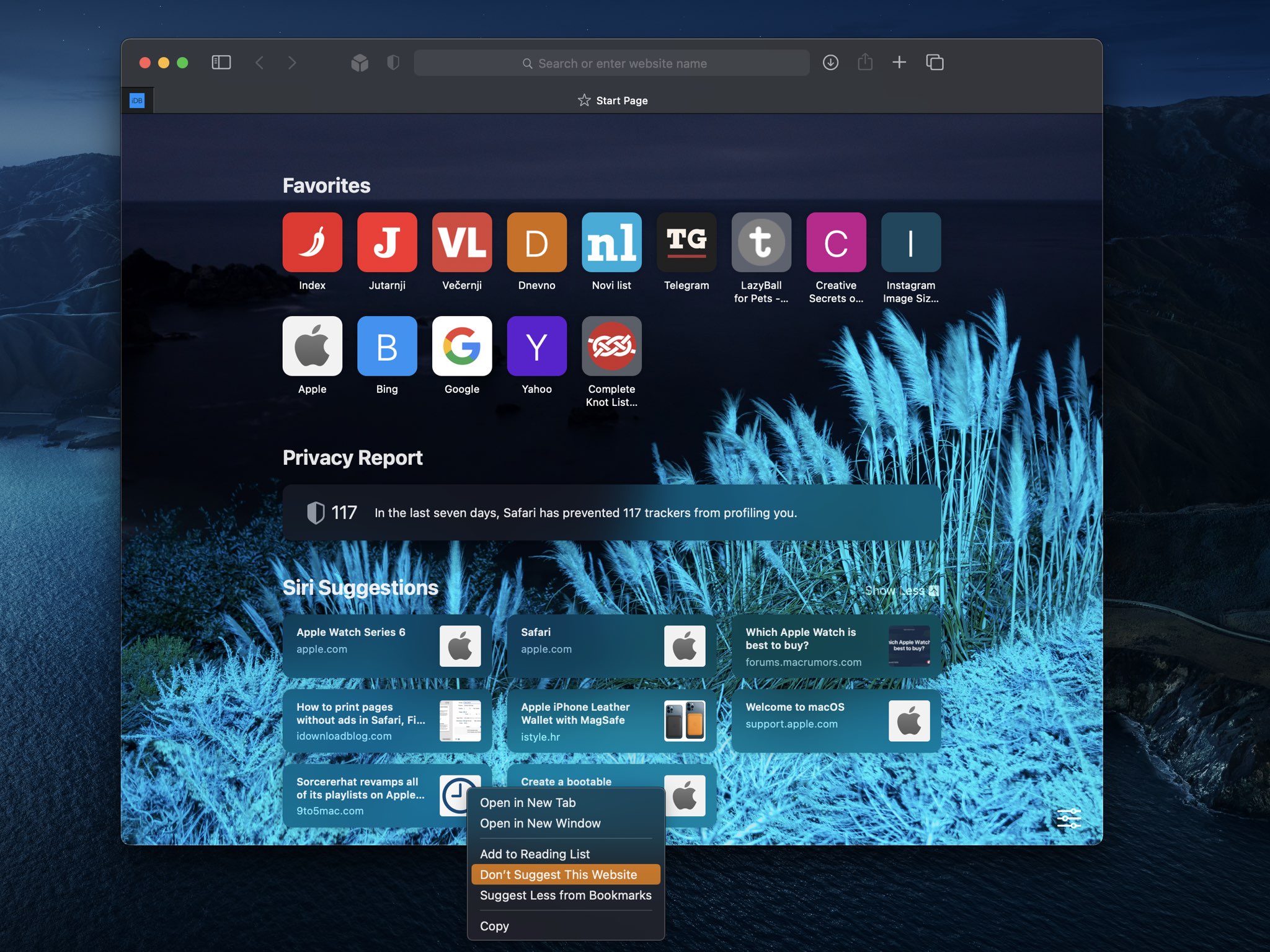 Uno screenshot del Mac che mostra l'opzione etichettata "Non suggerire questo sito web" nel browser Safari di Apple su macOS 11 Big Sur