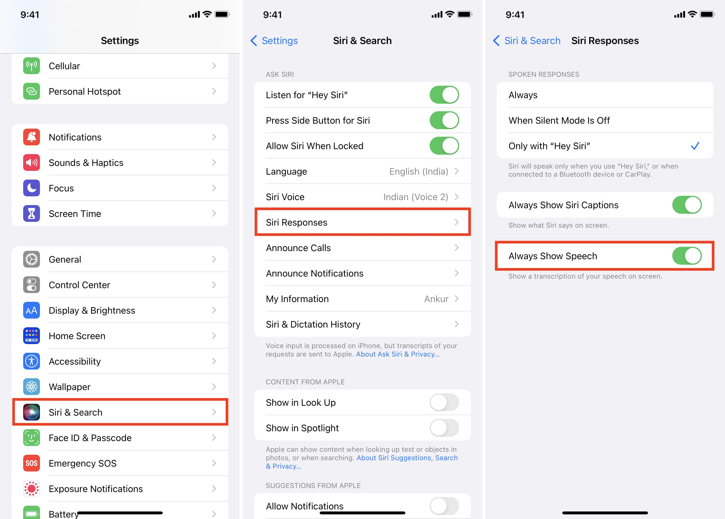 Mostra sempre voce Siri su iPhone