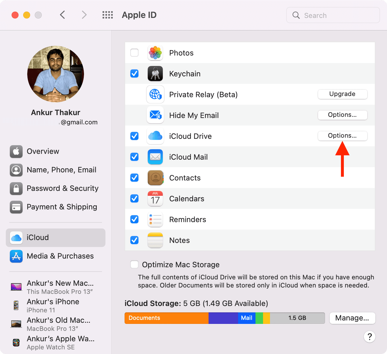 Opzioni di iCloud Drive su Mac