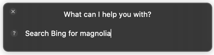 Siri Cerca Bing per su Mac