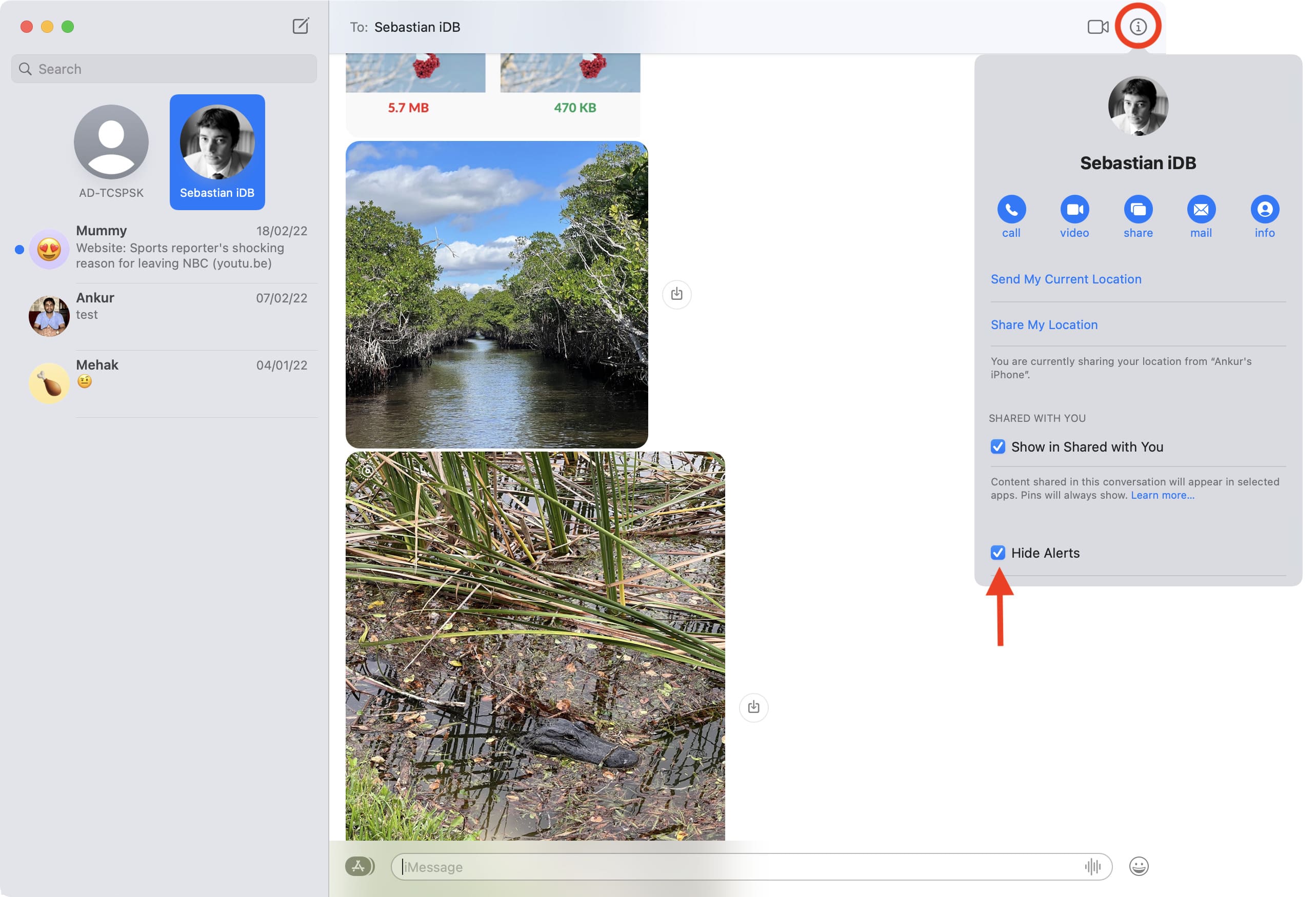 Nascondi avvisi per iMessage su Mac