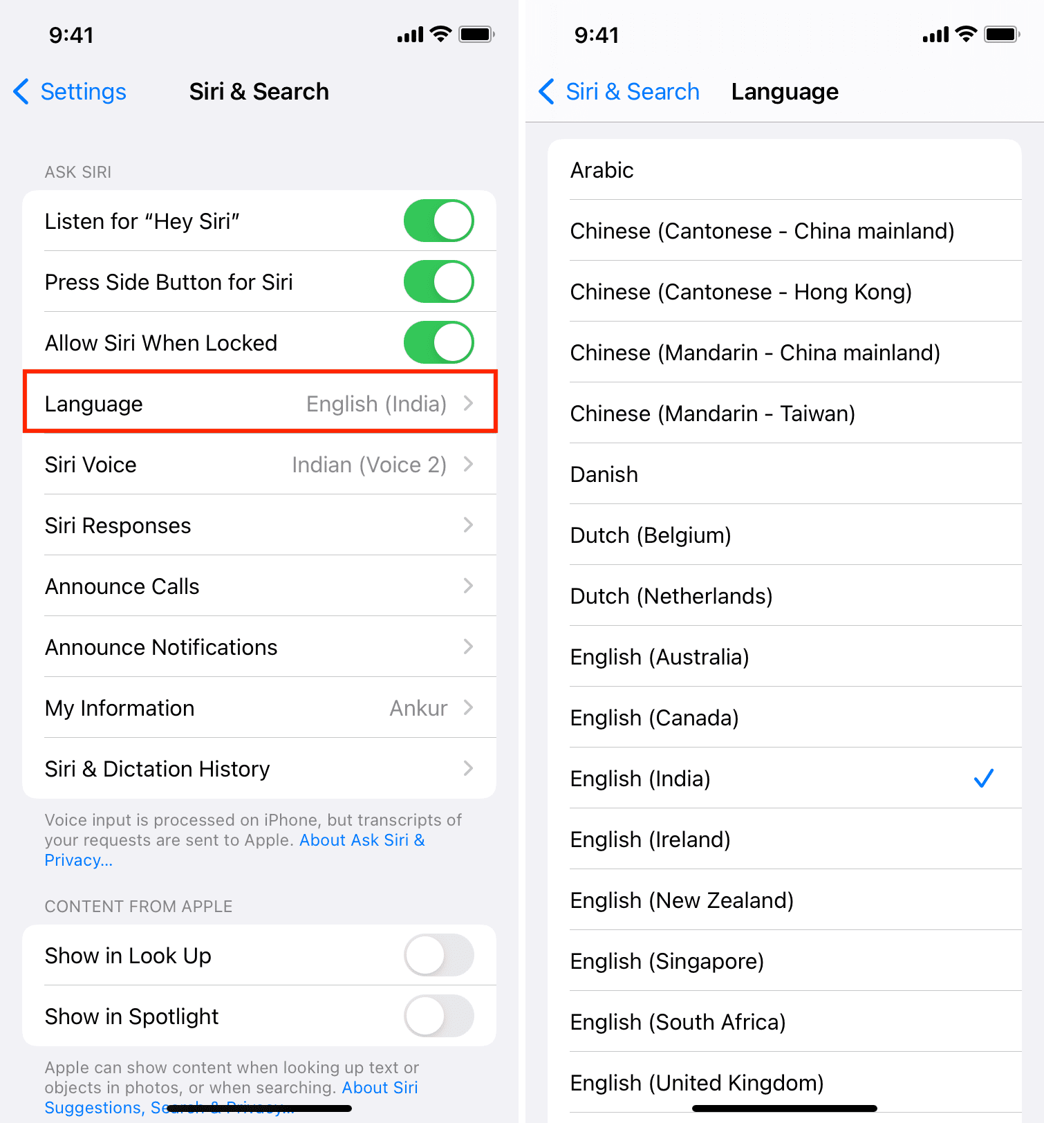 Lingua Siri nelle impostazioni dell'iPhone