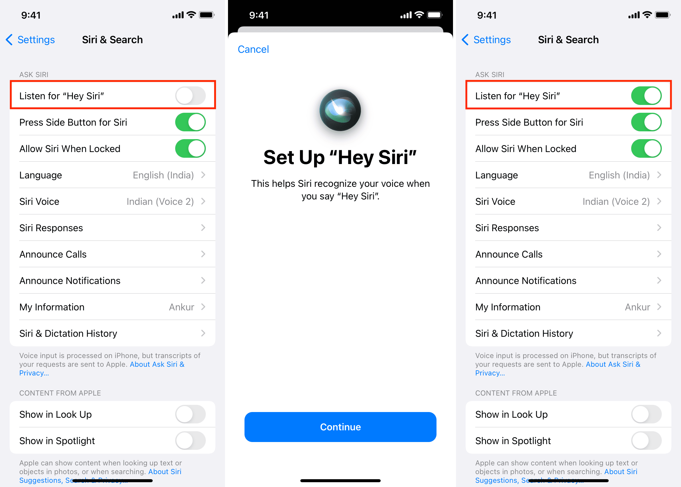 Disabilita e abilita Hey Siri su iPhone