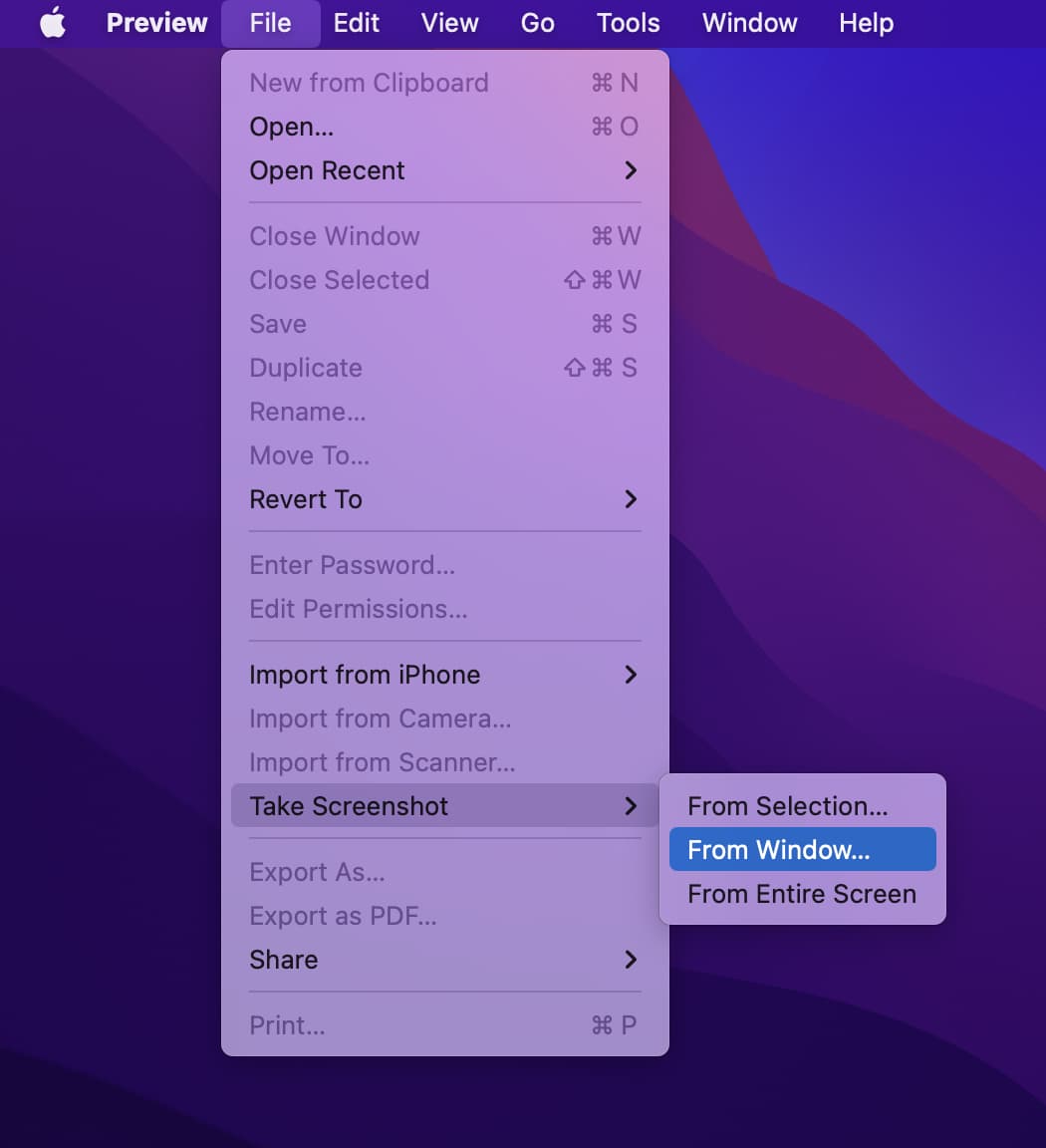 Acquisisci uno screenshot utilizzando Anteprima su Mac