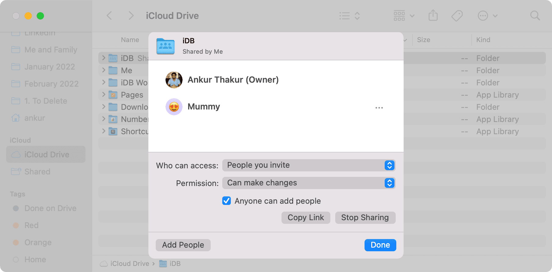 Impostazioni della cartella iCloud Drive condivisa su Mac
