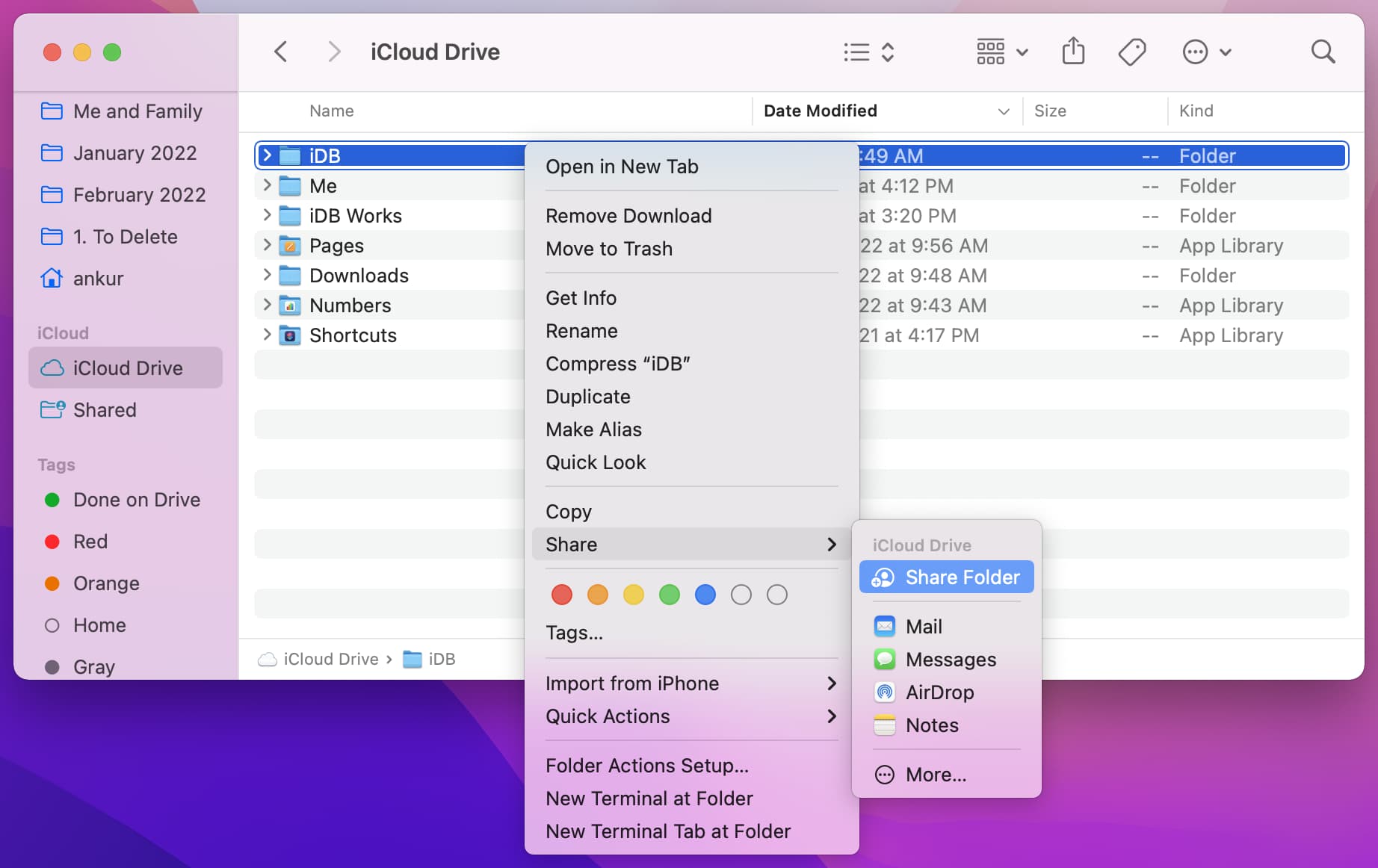Condividi la cartella iCloud usando Finder su Mac