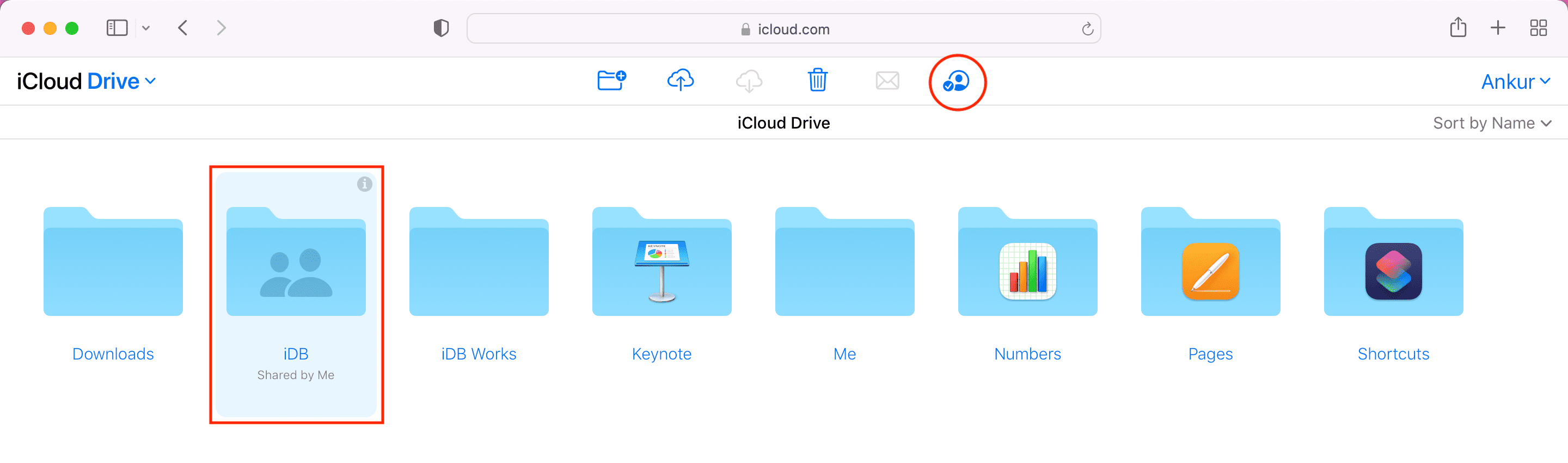 Gestisci le cartelle iCloud condivise in un browser web