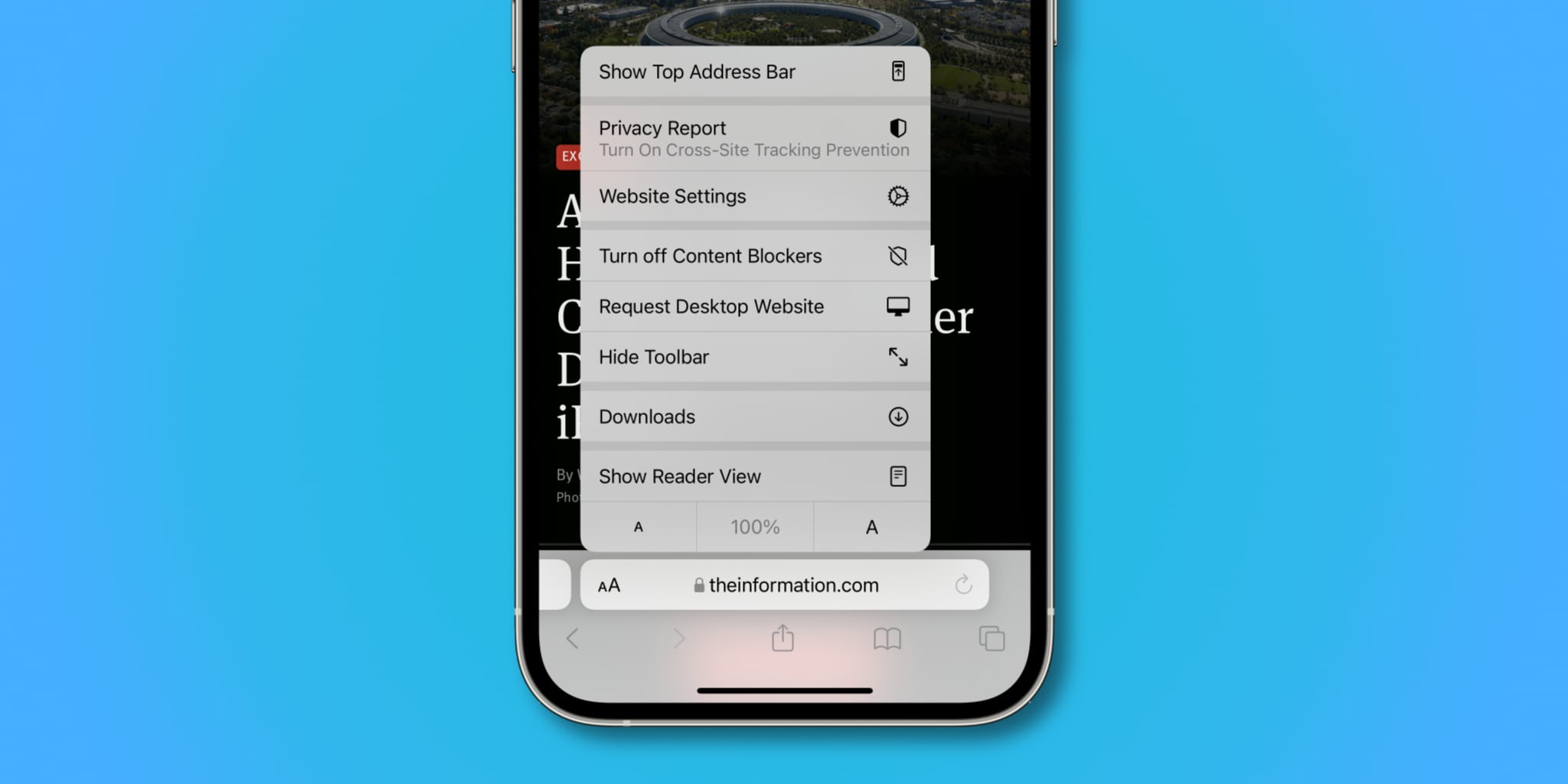 Screenshot dell'iPhone che illustra la barra degli indirizzi in basso con le opzioni del menu 