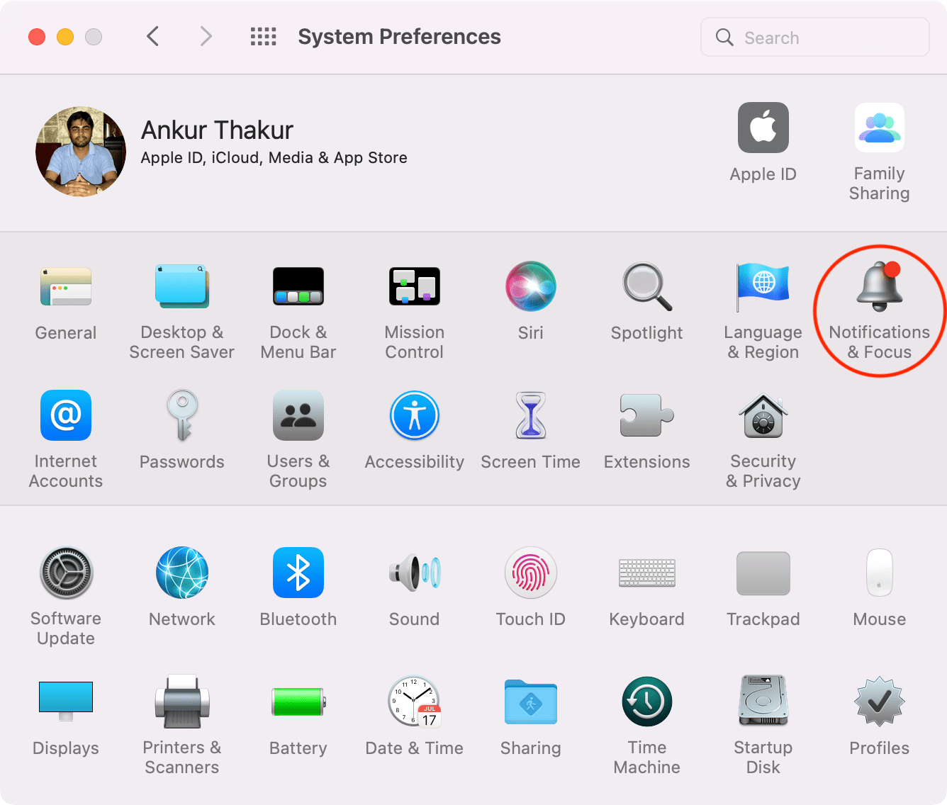 Notifiche e focus nelle Preferenze di Sistema del Mac