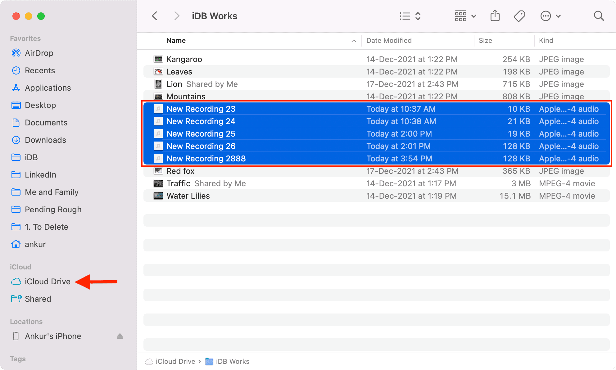 Registrazioni vocali di iPhone in iCloud Drive su Mac