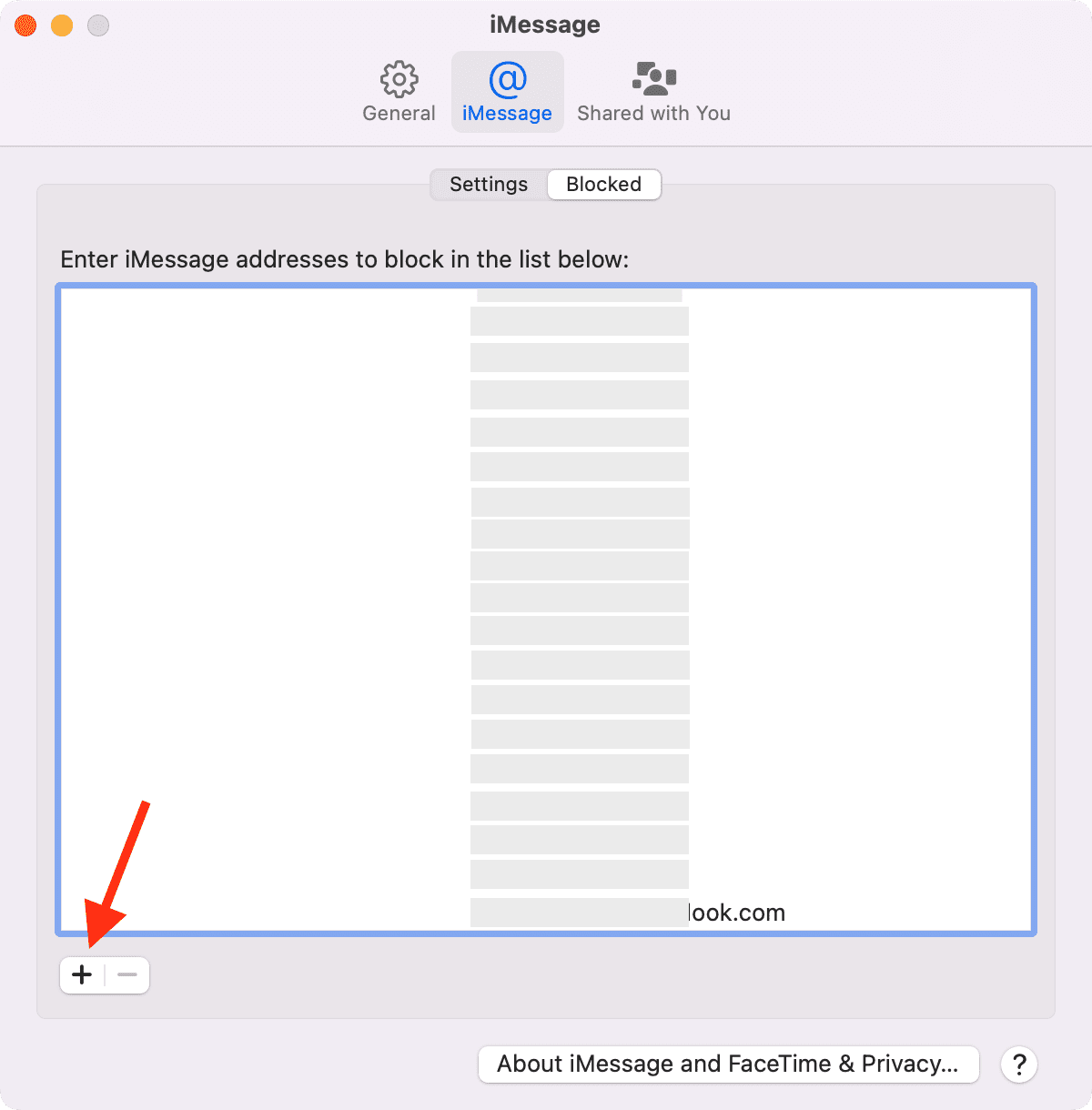 Elenco bloccato nell'app Messaggi su Mac