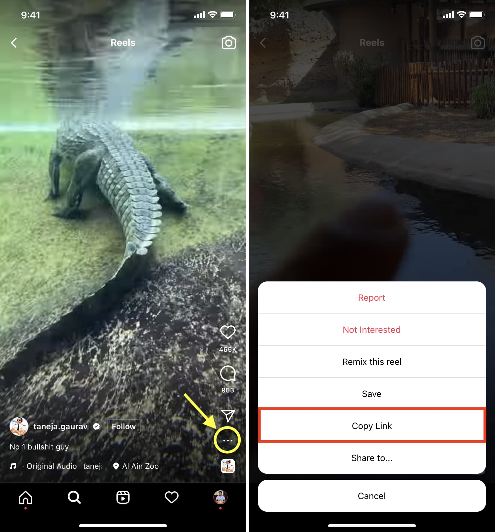 Copia il link di Instagram Reel che desideri scaricare