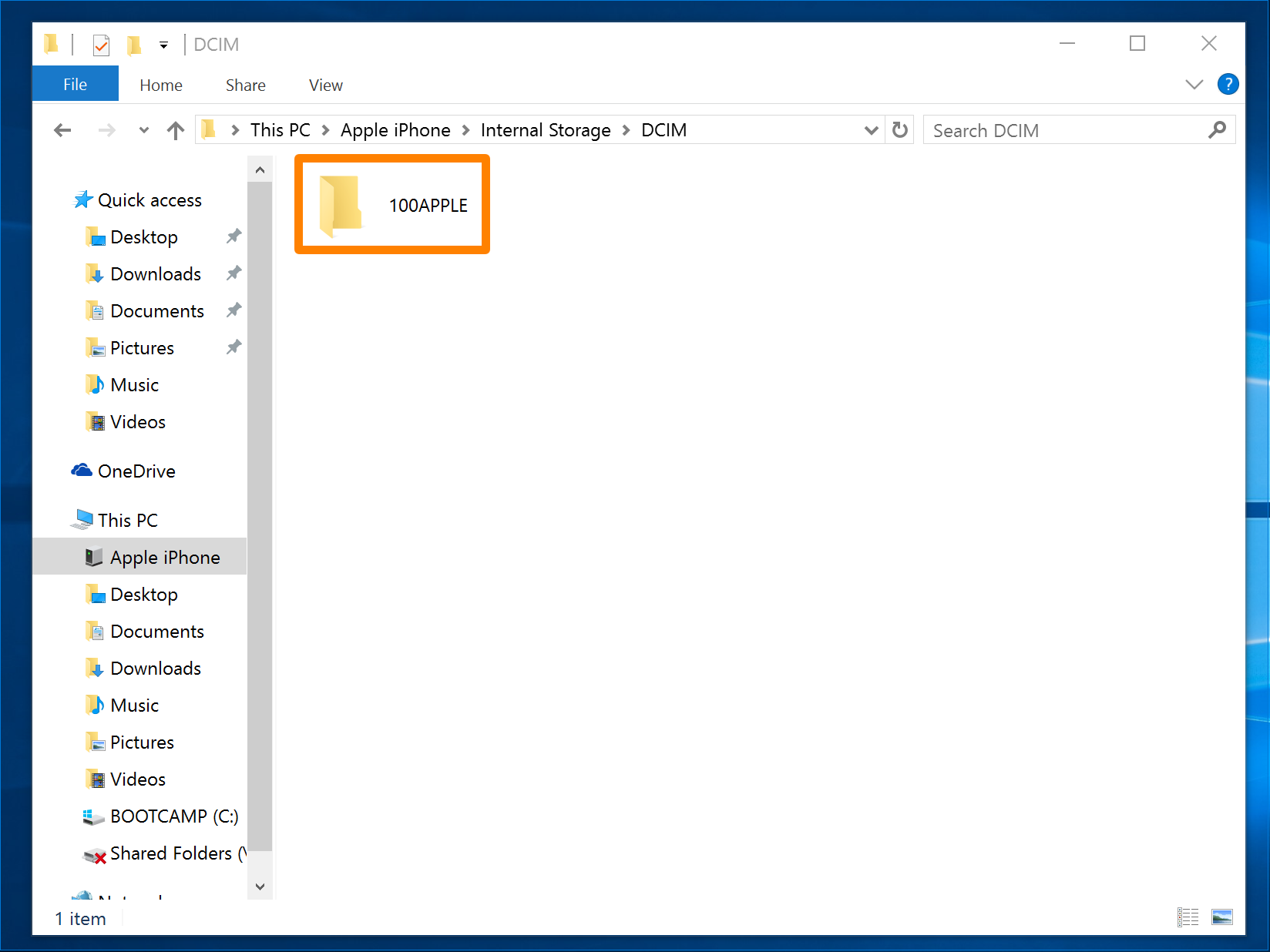 Cartella di Windows Explorer 100 Apple