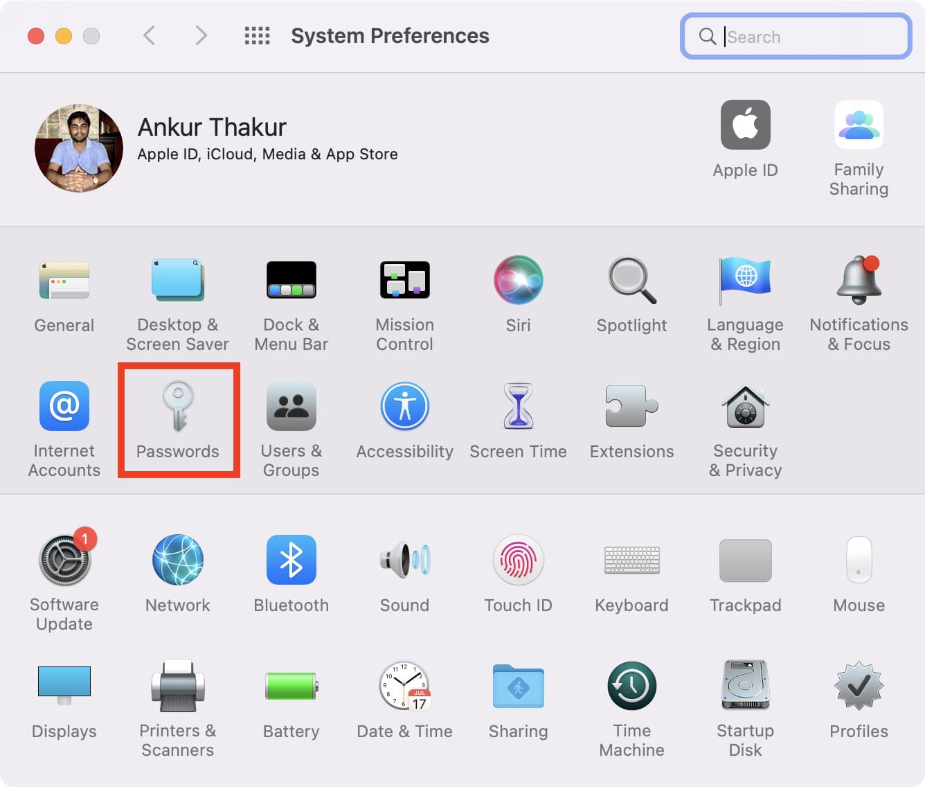 Visualizza le password del portachiavi iCloud nelle Preferenze di Sistema del Mac