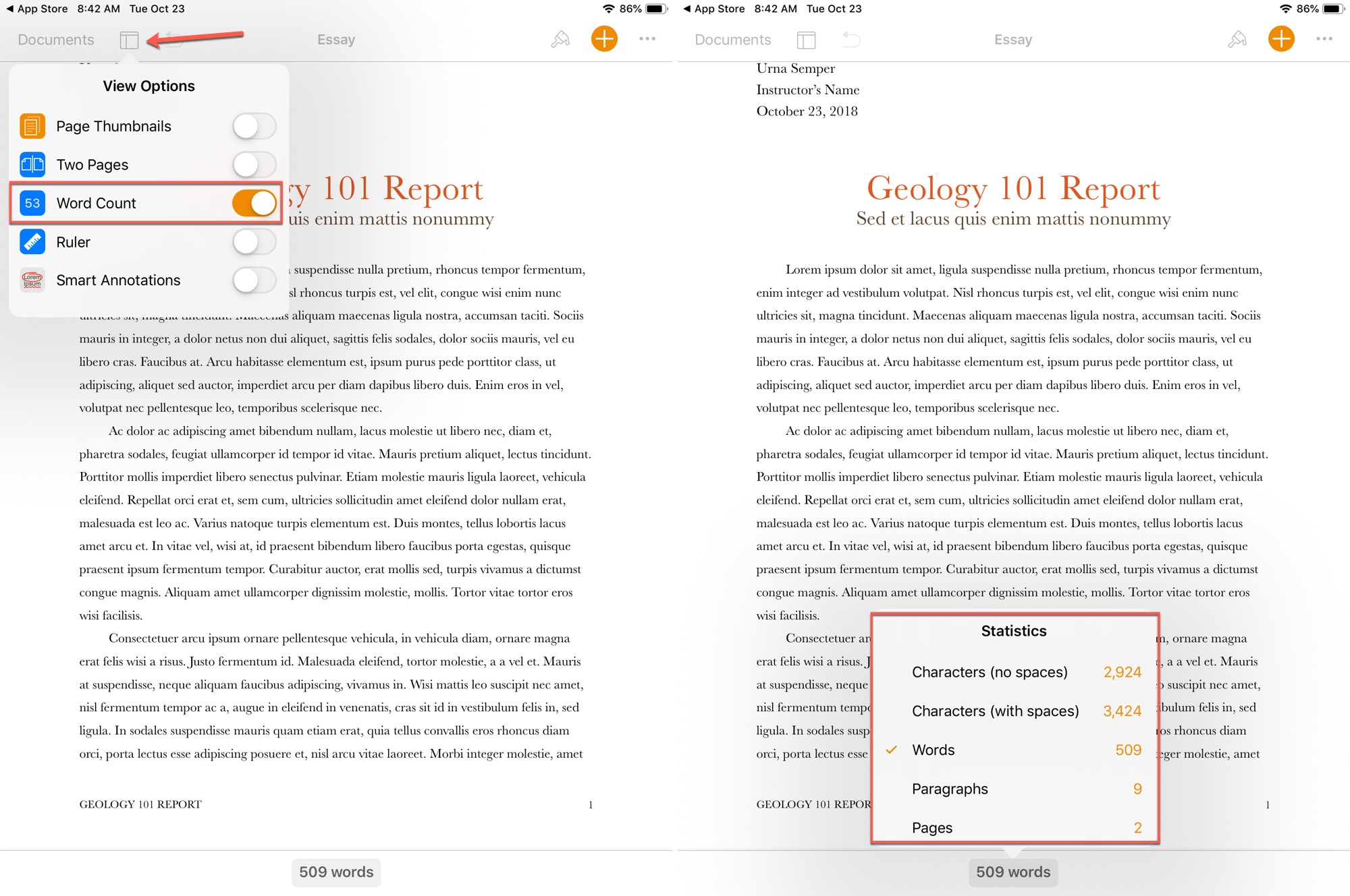 Pagine Conteggio parole su iPad
