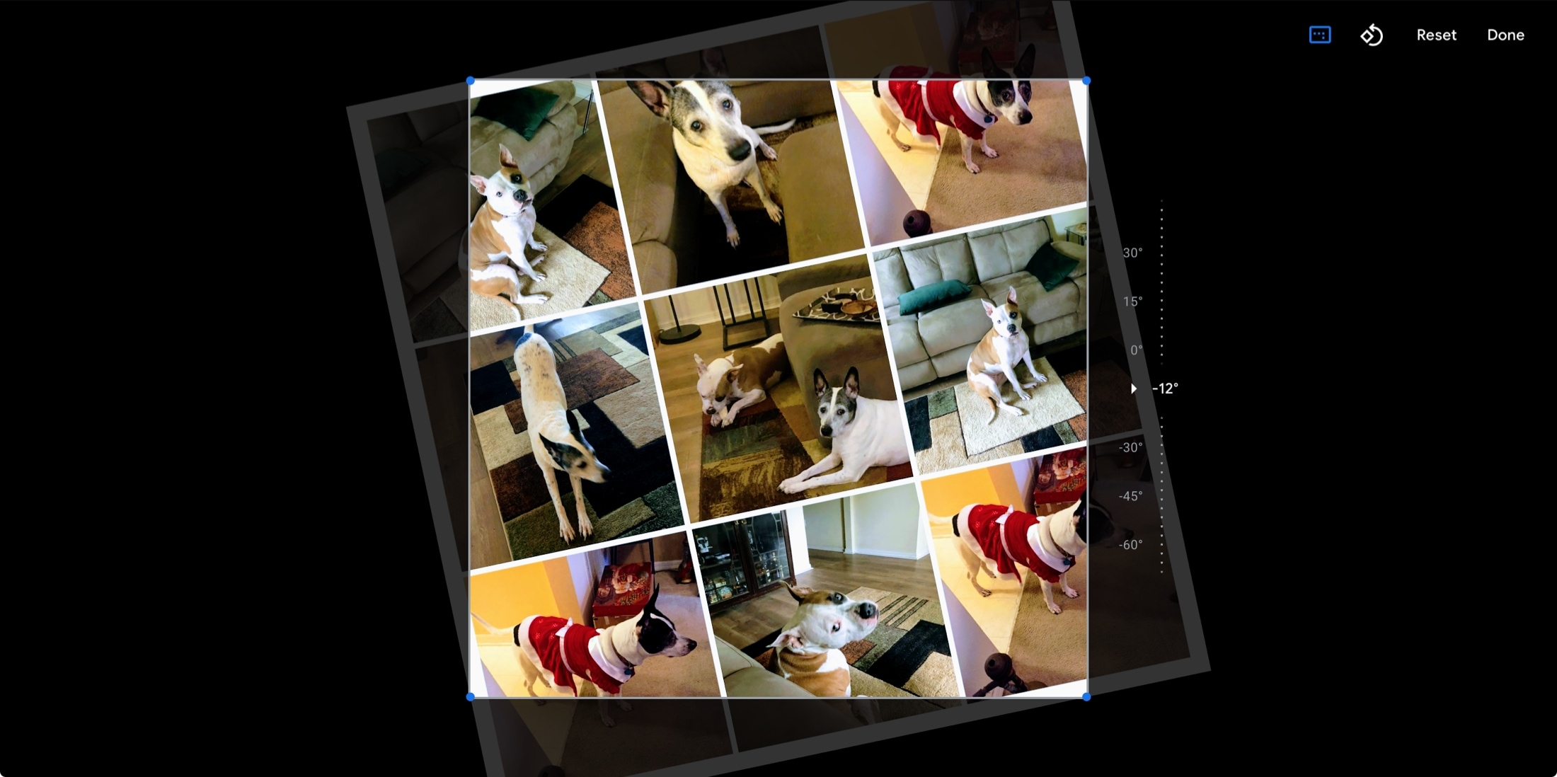 Google Foto Ruota Collage Web