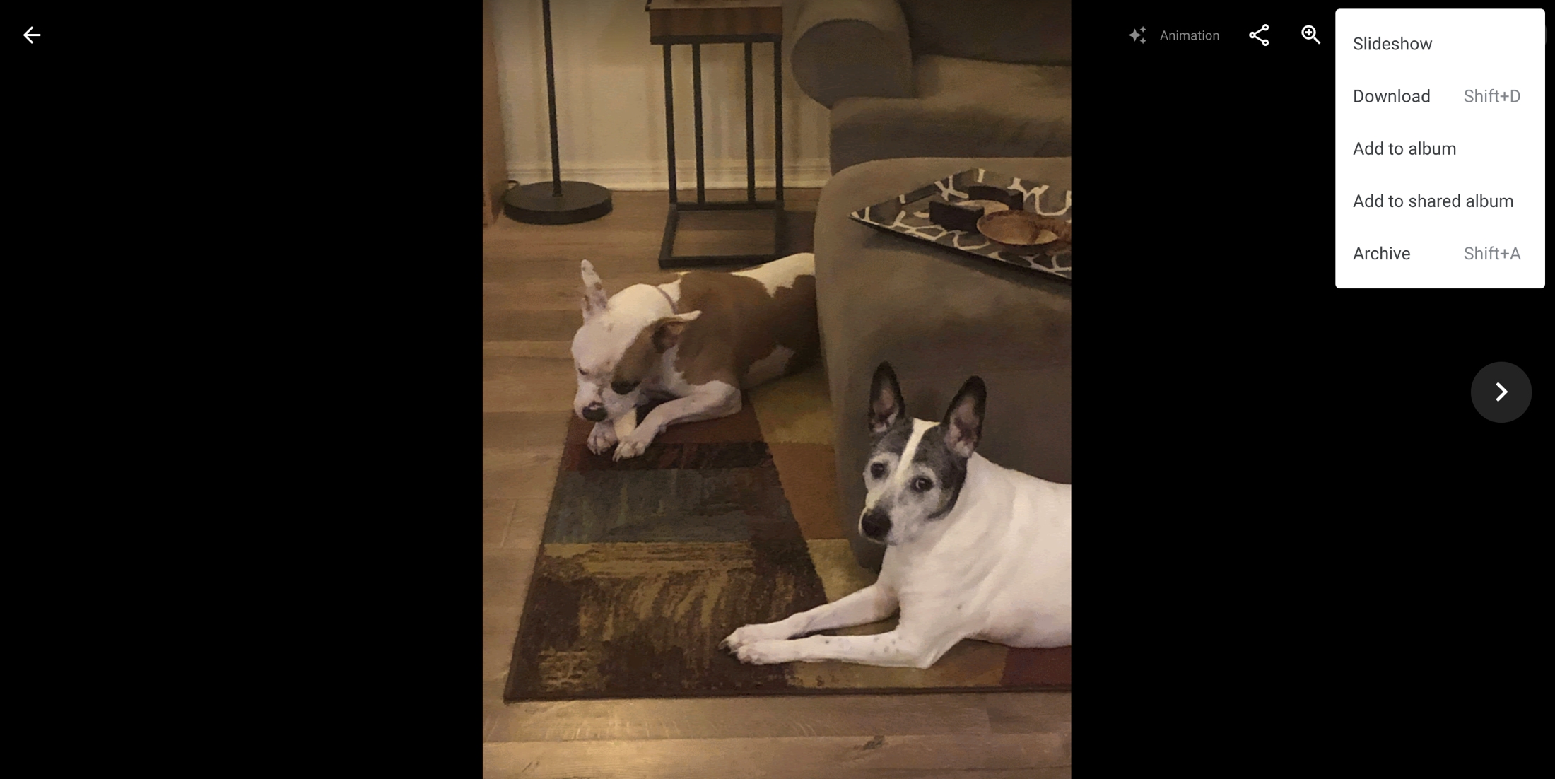 Animazione di Google Foto in linea