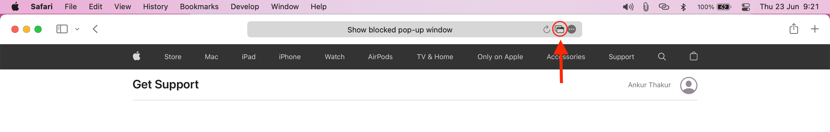 Mostra la finestra pop-up bloccata in Safari su Mac