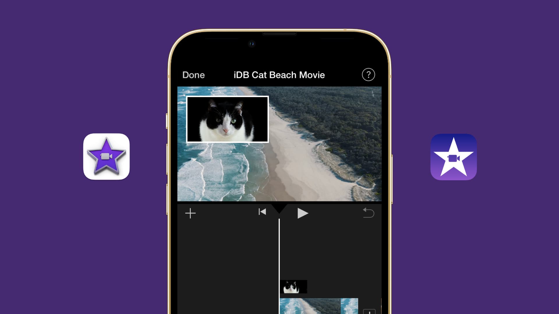 iPhone che mostra Picture in Picture in iMovie