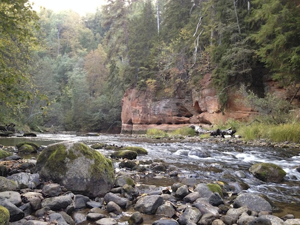 Caduta della foto del fiume
