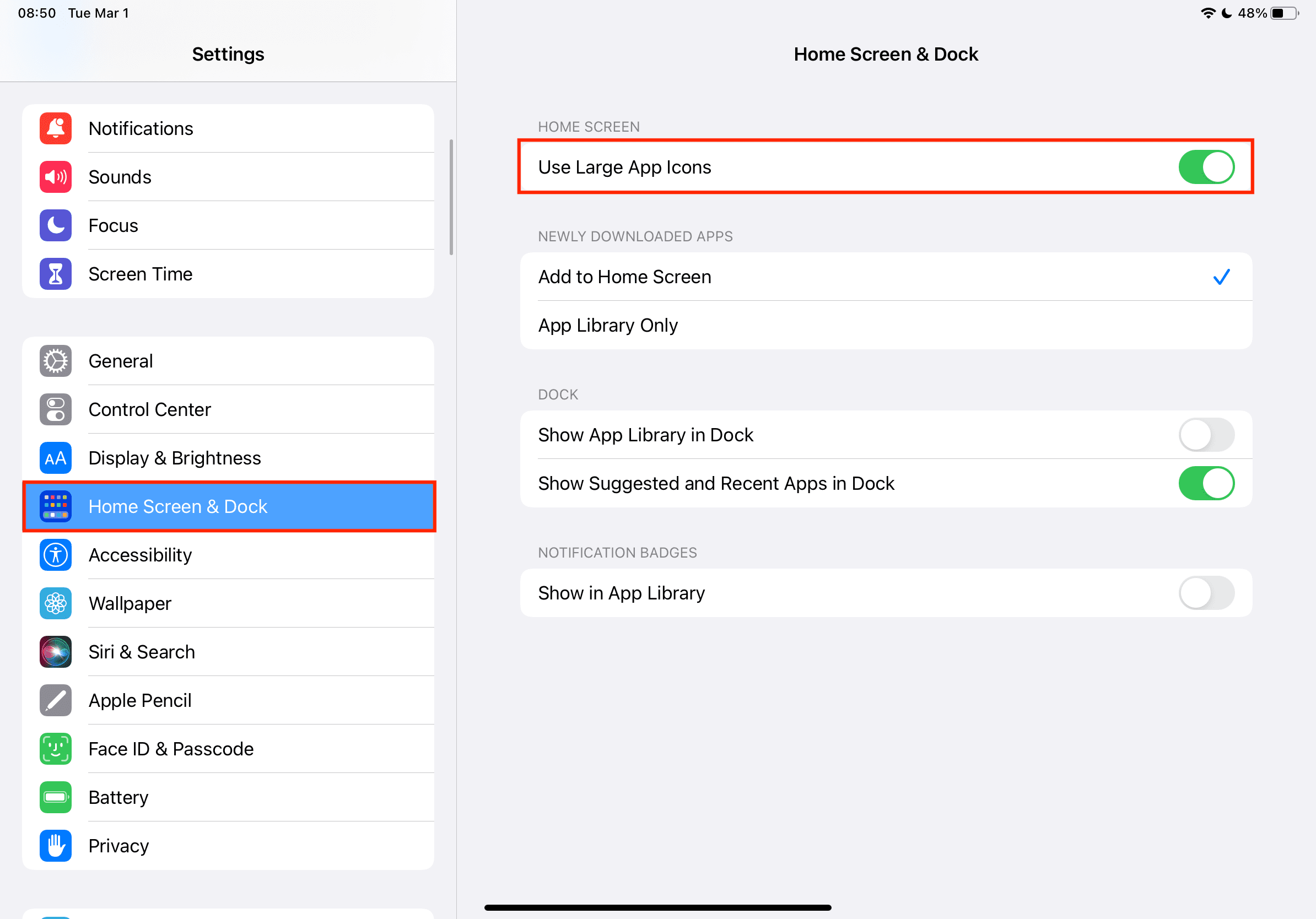 Usa icone app grandi su iPad