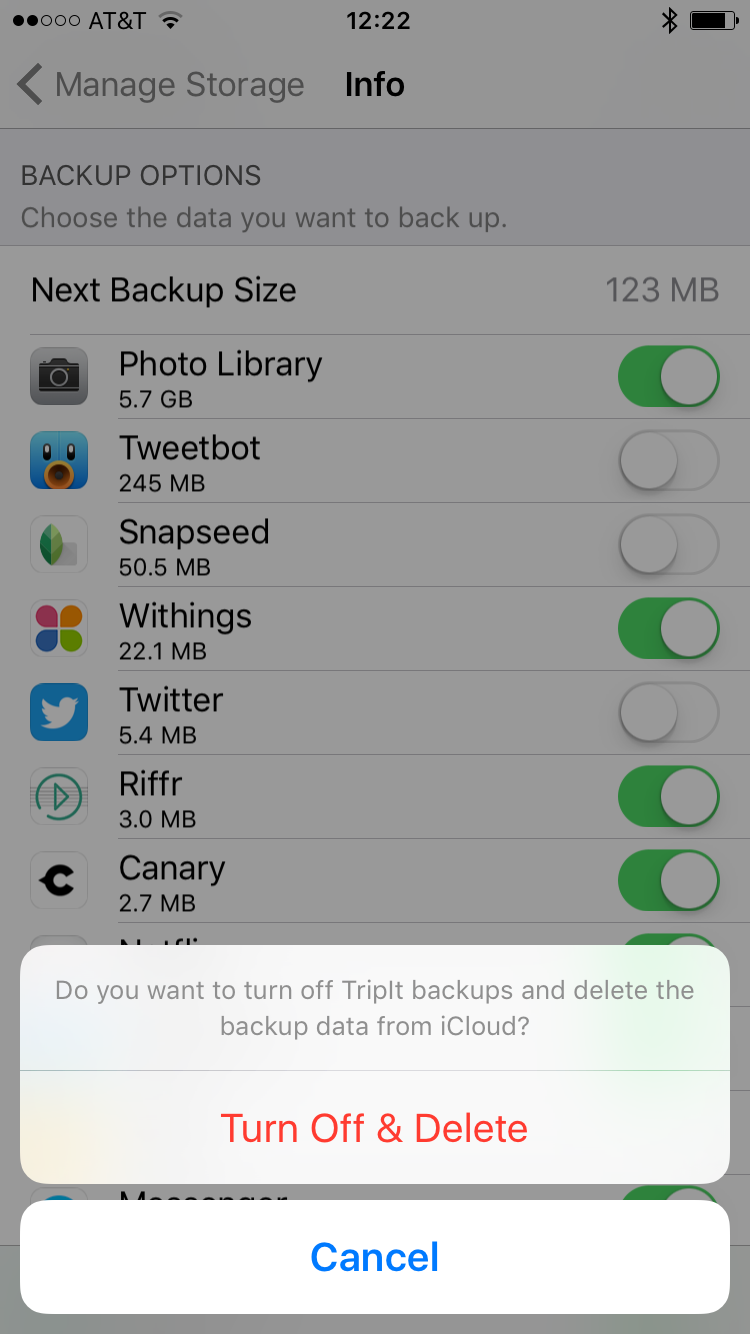 elimina il backup dei dati dell'app icloud