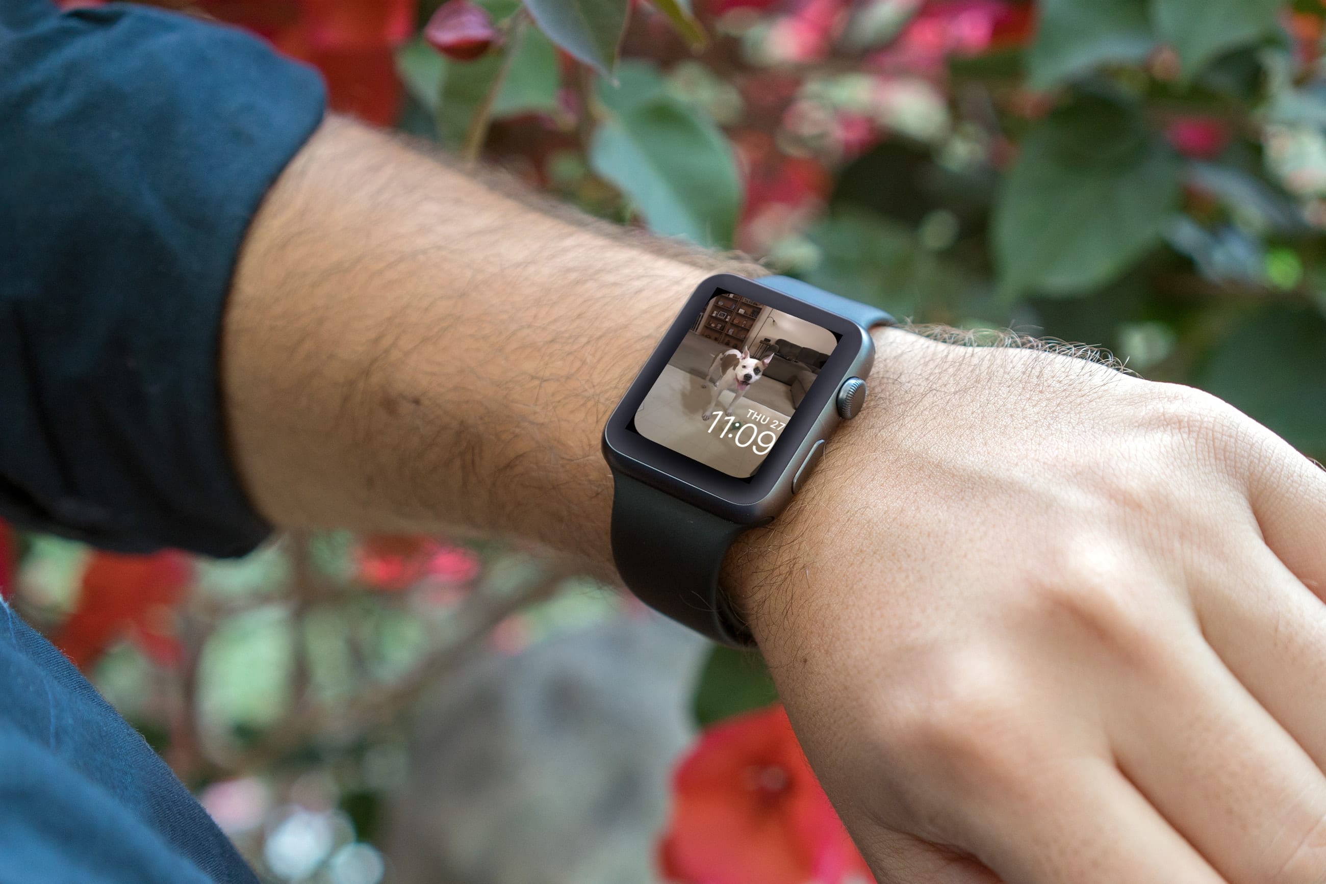 Quadrante con foto di Apple Watch