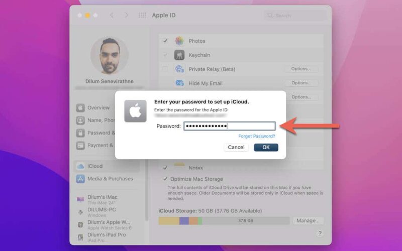 Come importare ed esportare le password del portachiavi iCloud