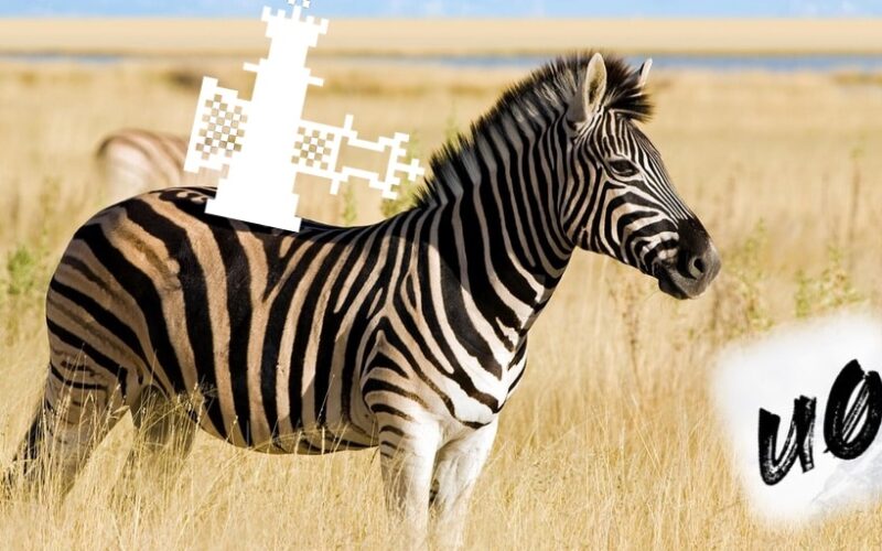 Come installare Zebra sul tuo dispositivo jailbroken