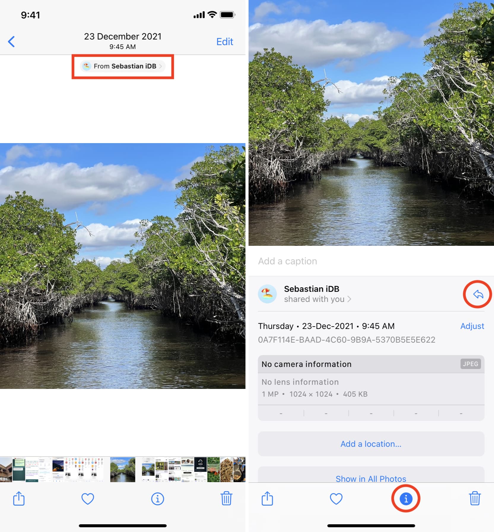 Etichetta Condiviso con te nell'app Foto per iPhone