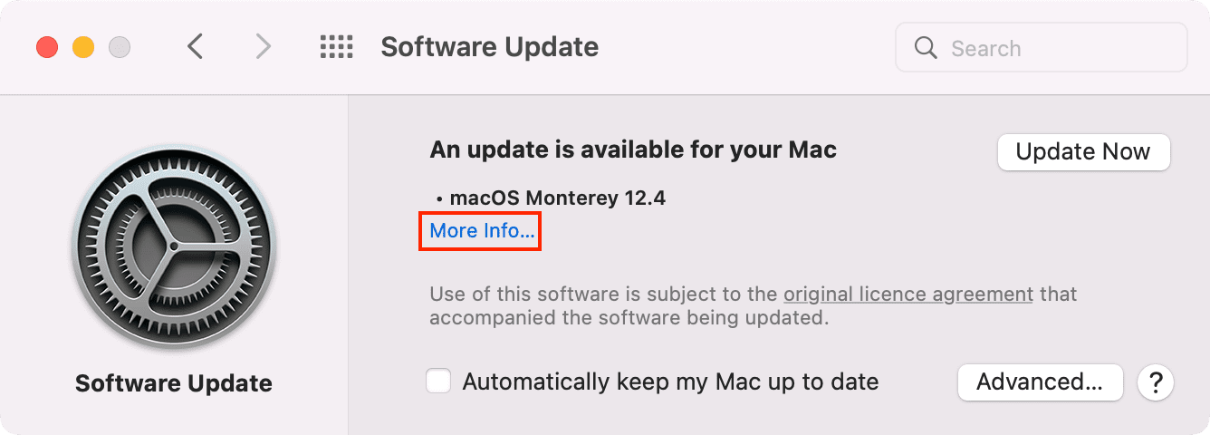 Ulteriori informazioni nell'aggiornamento del software Mac